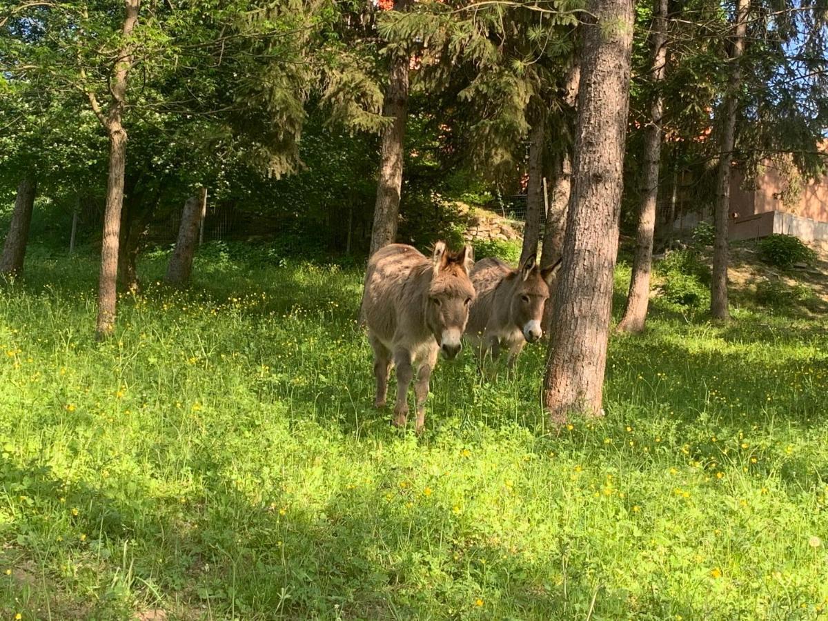 Agriturismo La Mussia Castelnuovo  Zewnętrze zdjęcie