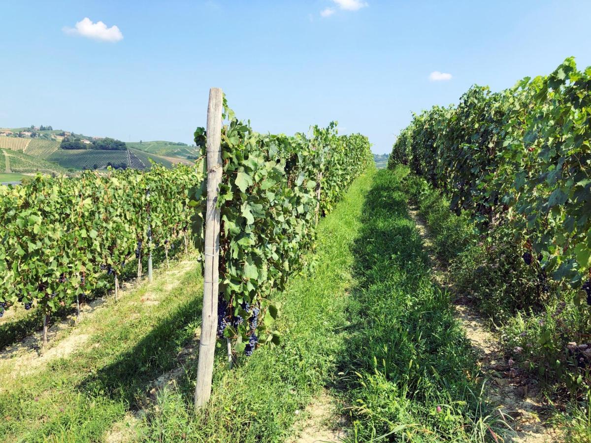 Agriturismo La Mussia Castelnuovo  Zewnętrze zdjęcie