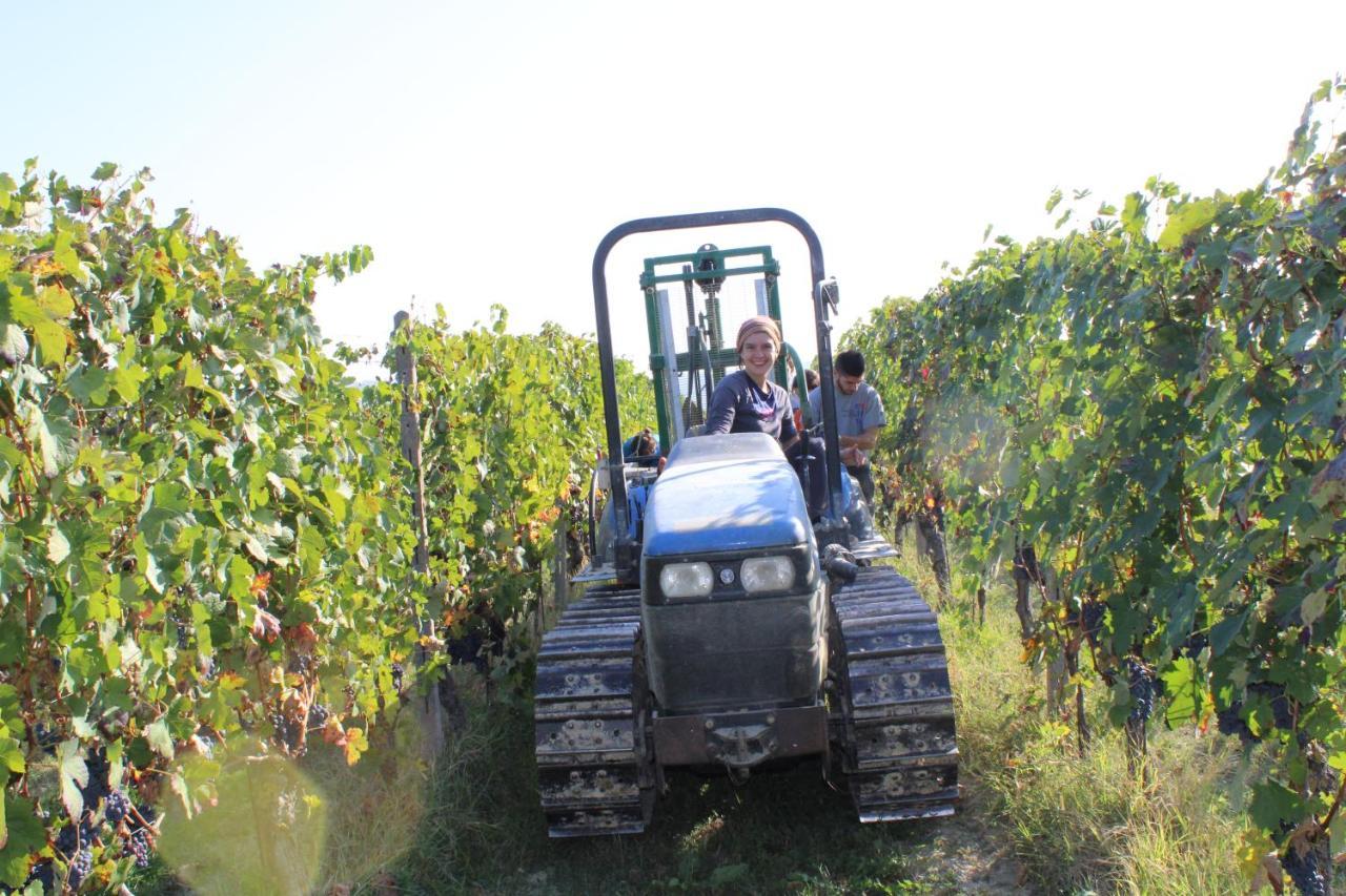 Agriturismo La Mussia Castelnuovo  Zewnętrze zdjęcie