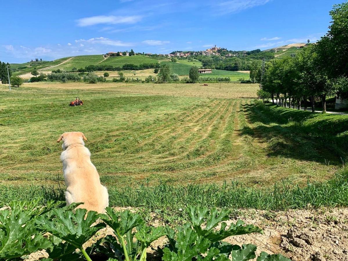 Agriturismo La Mussia Castelnuovo  Zewnętrze zdjęcie