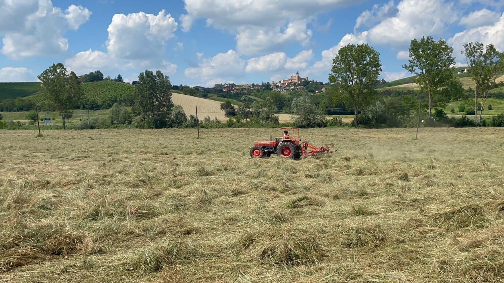 Agriturismo La Mussia Castelnuovo  Zewnętrze zdjęcie
